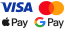 Pagamento com cartão (GoPay) / Apple Pay / Google Pay