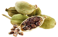 cardamomo para café